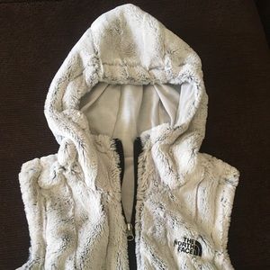 The northface vest
